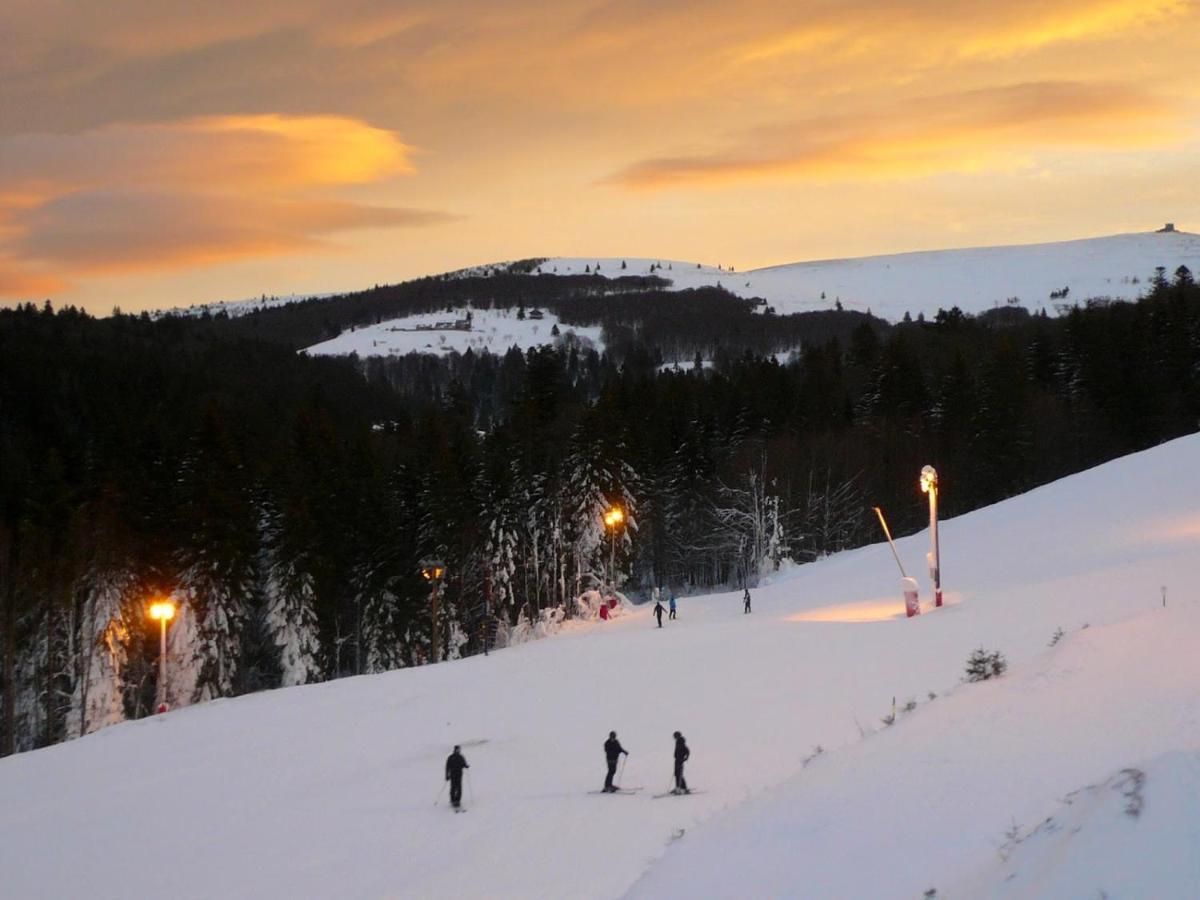 Апартаменты Ma Montagne Chic Ла-Бресс Экстерьер фото